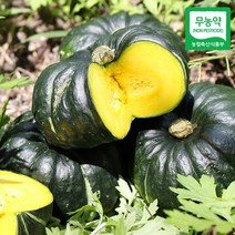 [산지직송] 함평 정대성님의 무농약 햇 미니단호박(밤호박) 1kg, 단품