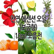 천연 에센션 오일 (10ml) 19종, 12.시트로넬라