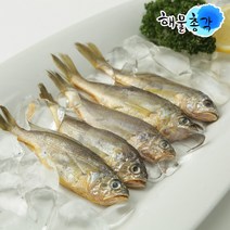 해물총각 냉동 참조기 1박스 3.6kg 50마리 내외