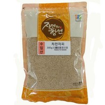 차전자피(300g)-인도산, 1개