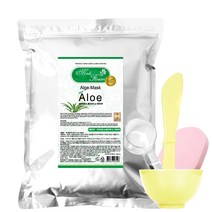 메디플라워 모델링팩 알로에 1kg+팩도구4종 세트, 1개, 1개