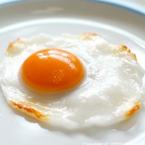 데코짱 계란후라이모형