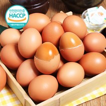 [푸르젠] 참숯돌에서 구운계란 (개당 35g 국산 구운소금증정), 30개, (개당 35g내외)