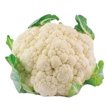국내산 생 콜리플라워, 1팩, 국내산 콜리플라워 1kg