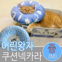 모모민트 어린왕자 쿠션 넥카라 중M, 1개