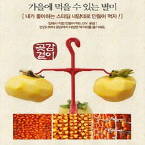 [써니몰] 가을 별미 곶감만들기 곶감걸이 세트, 곶감걸이2개+꼭지핀20개, 1개