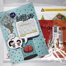 사이언스존 [꿈과-뇌모자(뇌구조) 1인용] 생명과학 과학실험 과학교구 과학실험키트 STEAM 학습교구