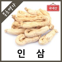 본초명가 고려인삼 인삼, 1개, 300g