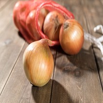 바른상회 단단한 양파, 1개, 양파 10kg 대