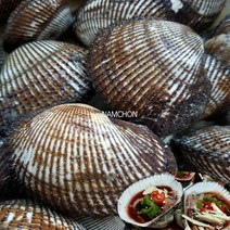 [산지직송] 벌교 여수 피꼬막 10kg (kg당 17~20입), 1box
