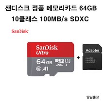 샌디스크 SONY HandyCam FDR-AX100샌디스크 64gb메모리카드, 64GB