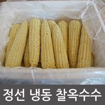 여량농협 냉동옥수수 정선 미백 찰옥수수 삶지않은 생옥수수, 1box, 생 냉동찰옥수수 25개
