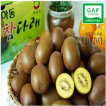 2023년 골드키위 (소~왕특) (2kg 3kg 5kg ), 1box, 3kg (특과) 26개~30개
