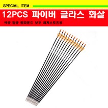 12PCS 파이버 글라스 화살