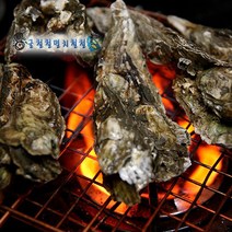 싱싱 가리비 새꼬막 12이전결재 당일발송, 1개, 석화굴10kg