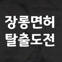 더굿데이 초보운전 스티커 반사시트지 심플서체 42종, 33_장롱면허 탈출도전