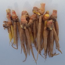 알라딘푸드 생 핑거루트 태국산 항공직송, 1팩, 1kg