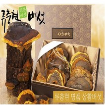 류충현 명품 상황버섯 상황버섯원물 300g 약용버섯 상황버섯물 상황버섯진액 즙 상황버섯선물, 500g, 1개