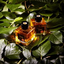 에스오지 100% 천연향 피톤치드 디퓨저 빙훈순정 100ml, 따뜻한숨