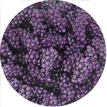 클레이앤데코 말랑 포도 파츠 4P