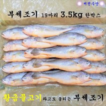 서진수산 부세조기 19마리 3.5kg 한박스