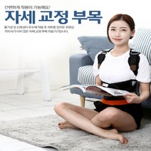 현대메디칼 자세 교정기 L, 1개, 1개