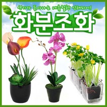 호가 화분조화 호접란 장미 인테리어 조화 화분 장식, 포인트 화분조화 데이지 퍼플(-2400원)