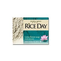 CJ라이온 라이스데이 비누 청, 100g, 10개