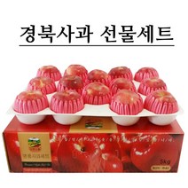 [실속선물세트] 경북 햇사과 5kg 선물세트 실속형, 1박스, 01.사과 선물세트 5kg 실속형 (15~17과내외)