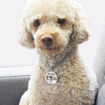 변색 알러지걱정없는 써지컬체인목걸이블랙각인, 써지컬체인5mm 11.써지컬하트실버m, 1개