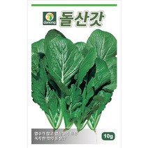 갑조네 잎줄기채소 씨앗 모음, 돌산갓(씨앗), 1개