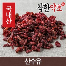 국산 구례 산수유 100g, 1개