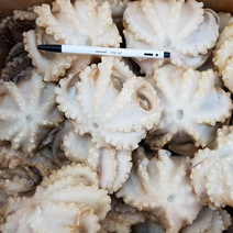 프라임 왕주꾸미, 1개, 1kg(7-8미)