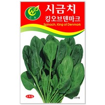 청농종묘 시금치 씨앗 1300립 - 채소씨앗 시금치씨 시금치씨앗, 16_시금치킹오브덴마크(1300립)