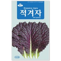 더덕 씨앗 1500립 / 더덕씨앗 더덕씨 산나물 씨, 03_적겨자(2000립)