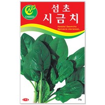 청농종묘 완두콩 씨앗 200립 완두콩씨 완두콩씨앗 콩씨, 13_섬초시금치(20g)