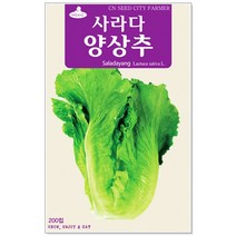 청농종묘 여주 씨앗 10립 여주씨 여주씨앗 씨 식물여주, 10_사라다양상추(200립)