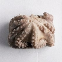 [고래푸드] 냉동 문어 800g~1.0kg 1마리, 800g, 1개