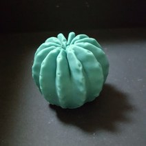 수제몰드 선인장몰드[모음](선택), 12번