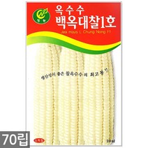 청농종묘 자색 당근 씨앗 200립 당근씨앗 당근씨 씨 보라색당근, 05_백옥대찰1호옥수수(70립)