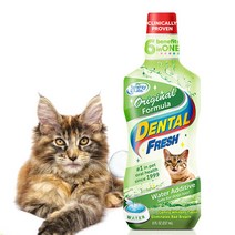 apAcka 고양이구내염 예방 물에섞어주는치약 237ml, 1개