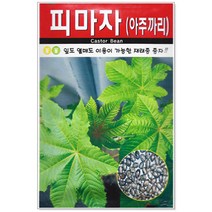 청농종묘 레드 방울토마토 씨앗 20립 방울토마토씨앗 대추토마토씨앗 방울토마토씨 대추토마토씨, 02_피마자