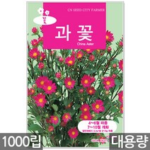 청농종묘 봉선화 씨앗 500립 봉선화씨앗 봉숭아씨앗 꽃씨앗 꽃 꽃씨 야생화씨앗 야생화 야생꽃씨, 02_대용량_과꽃(1000립)