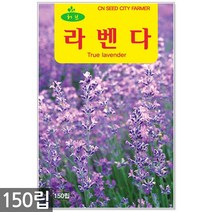 라벤더 씨앗 150립 / 허브씨앗 라벤다씨앗 허브씨 라벤다 허브 꽃씨앗, 02_허브_라벤다(150립)