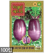청농종묘 아주까리 피마자 씨앗 50립 피마자씨앗 피마자씨 나물씨앗 나물씨, 15_웰빙레드무(100립)