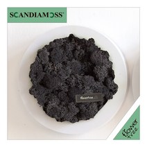 미세먼지 철벽방어! 실내공기정화식물 스칸디아모스 모음 천연이끼, 20.원형스칸디아액자set 24cmP-블랙