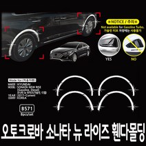 오토크로바 LF소나타 뉴라이즈 휀다몰딩