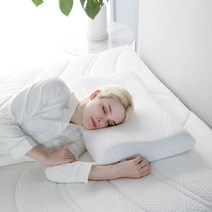 엘리저 컨투어 메모리폼 베개