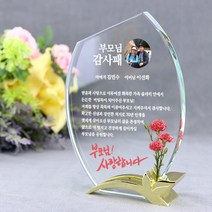 아이상패 부모님 감사패 상패 크리스탈 상패 상패 제작 어버이날선물 재직기념패 퇴직기념패, 03.M부메랑+나뭇잎(금)-01