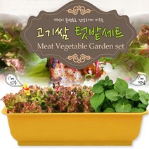 세경팜 고기쌈 텃밭세트(상추 깻잎), 옐로우화분(상추,깻잎)